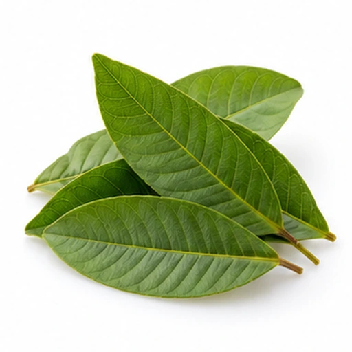 Guava leaf