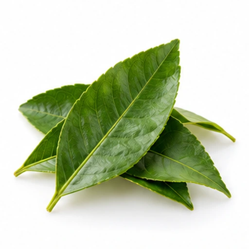 Lemon leaves