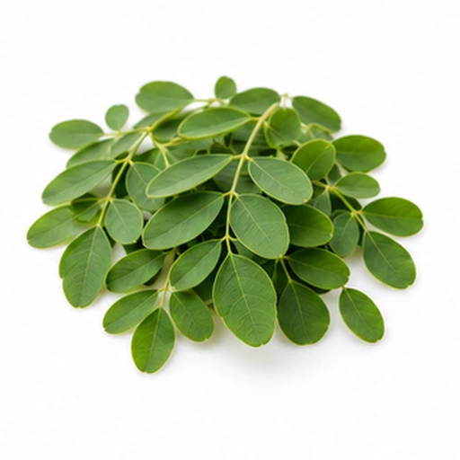 Moringa leaf