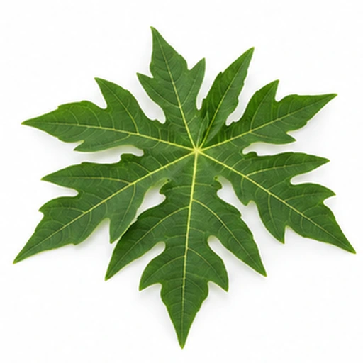 Papaya leaf