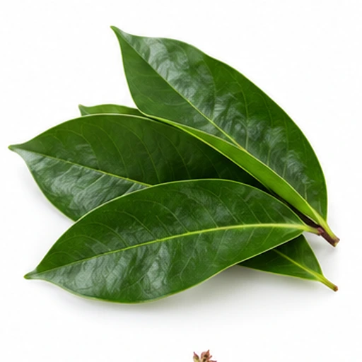 Soursop leaf