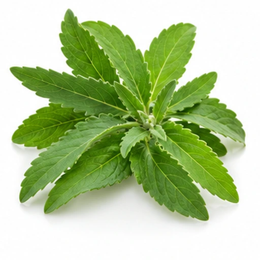 Stevia leaves